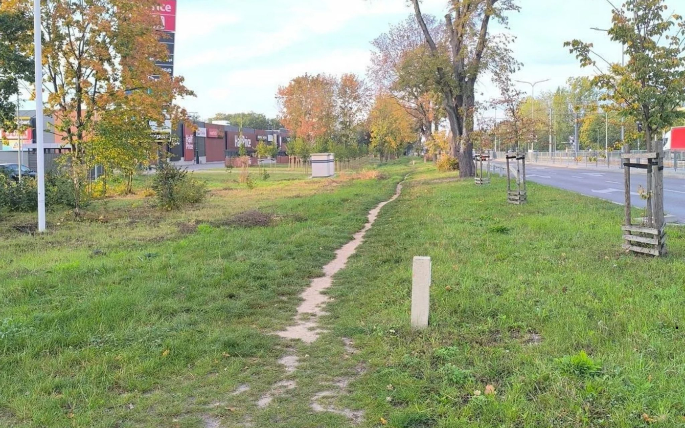 Zamiast chodnika wydeptane ścieżki. Radny apeluje o budowę