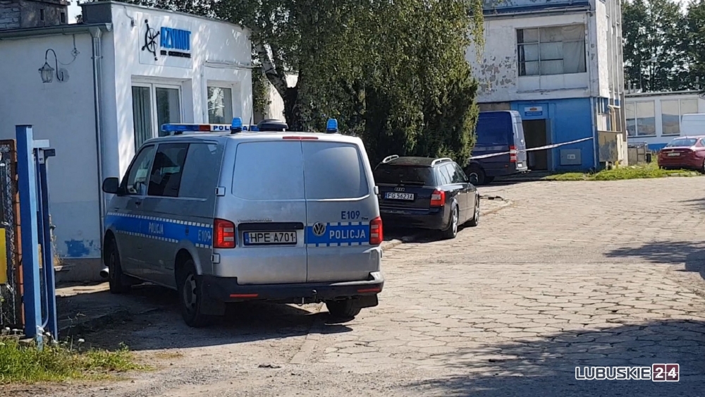 Zgłaszała policjantom nękanie i zastraszanie. Później została zabita przez byłego chłopaka