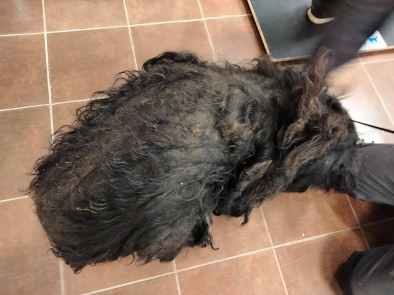 3/6 Żyła pośród butelek i puszek. Dźwigała ciężar ludzkiego okrucieństwa