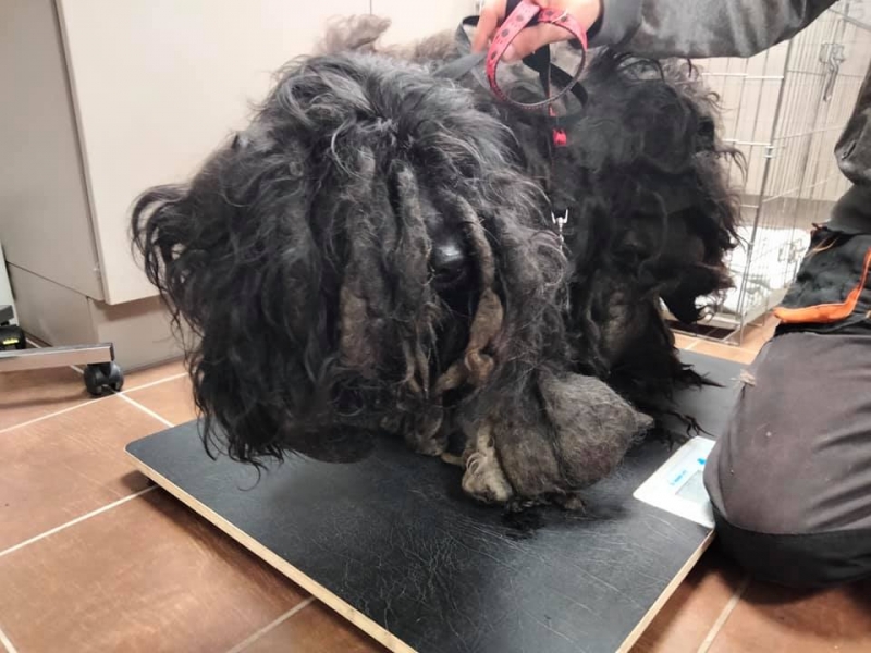 5/6 Żyła pośród butelek i puszek. Dźwigała ciężar ludzkiego okrucieństwa