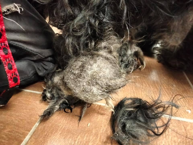 6/6 Żyła pośród butelek i puszek. Dźwigała ciężar ludzkiego okrucieństwa