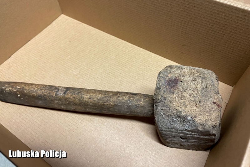 3/5 Pies zakopany żywcem uratowany