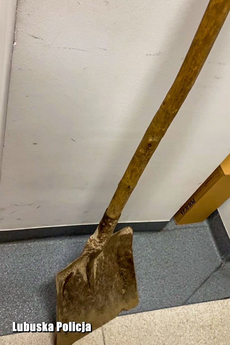 4/5 Pies zakopany żywcem uratowany