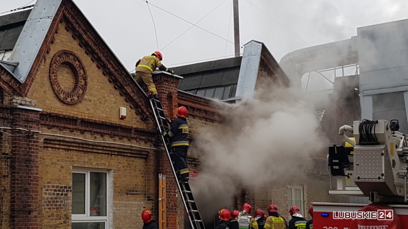 5/8 Pożar archiwum LUW w Gorzowie