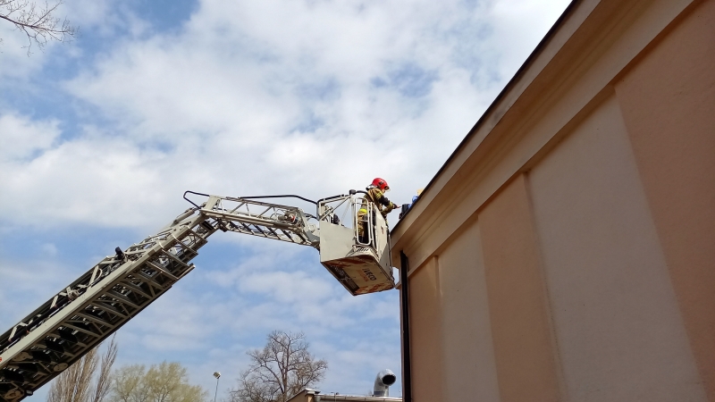 2/5 Strażacy pomagają w instalacji budek dla jerzyków