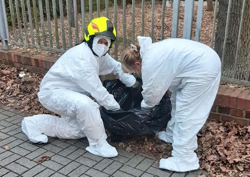 3/5 Strażacy z OSP Skwierzyna uratowali małego dzika