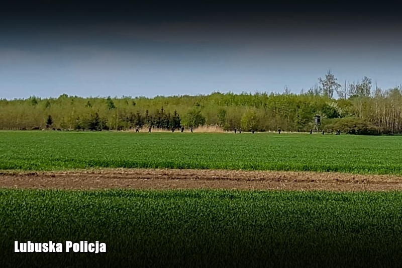 6/15 Poszukiwania nastolatków z Ledna