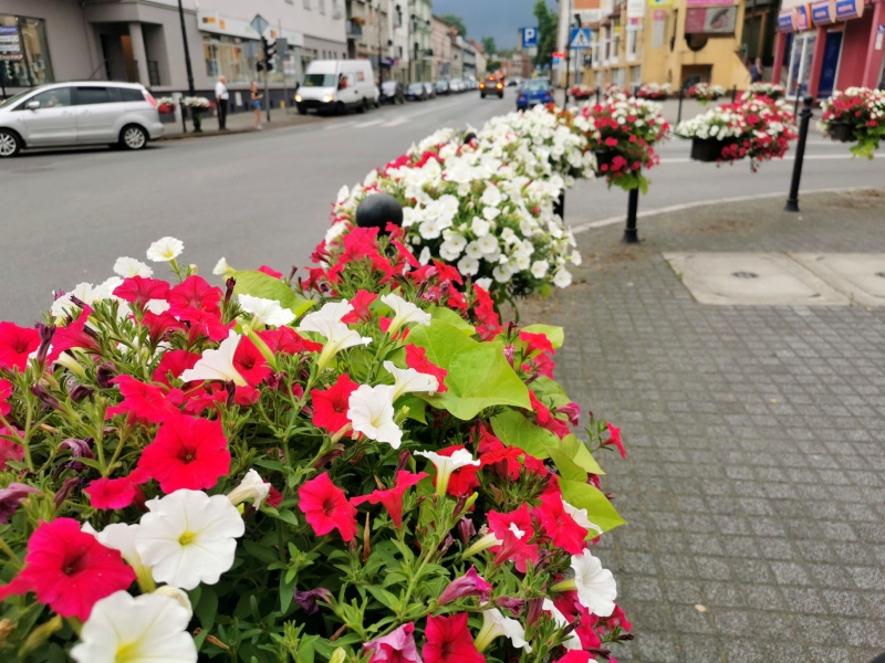 4/18 Nowa Sól dosłownie tonie w kwiatach