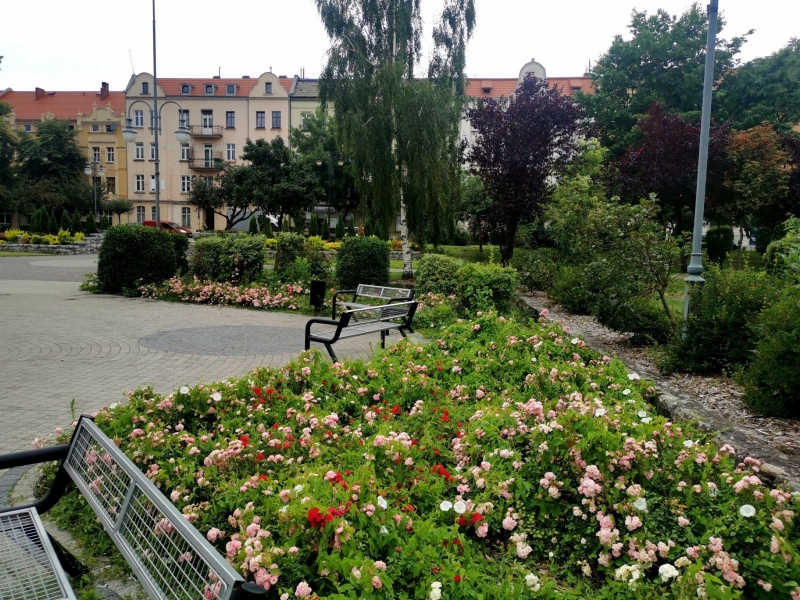 15/18 Nowa Sól dosłownie tonie w kwiatach