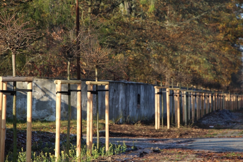 5/9 Żary będą bardziej zielone