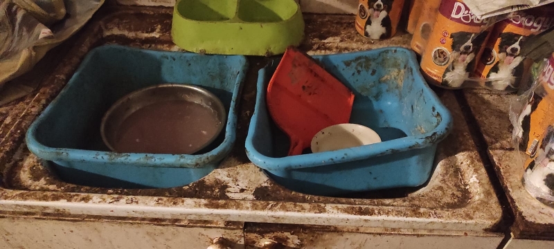 5/14 Skandaliczne warunki, w których żyły psy w hodowli