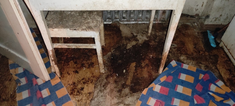 9/14 Skandaliczne warunki, w których żyły psy w hodowli