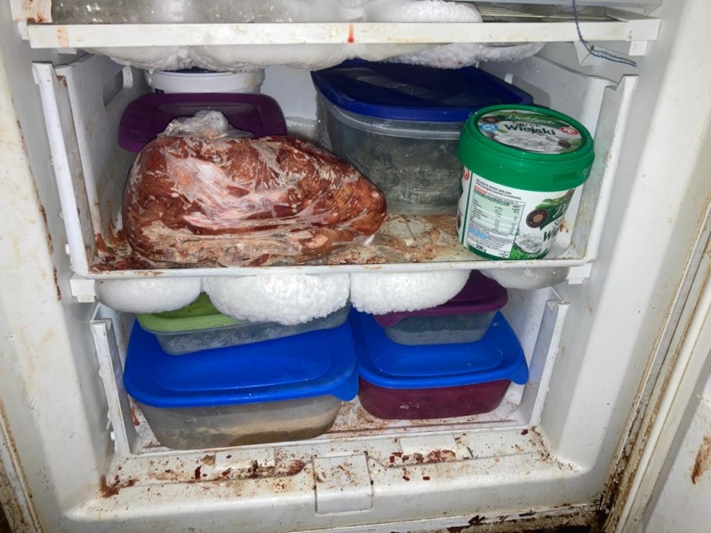 11/14 Skandaliczne warunki, w których żyły psy w hodowli