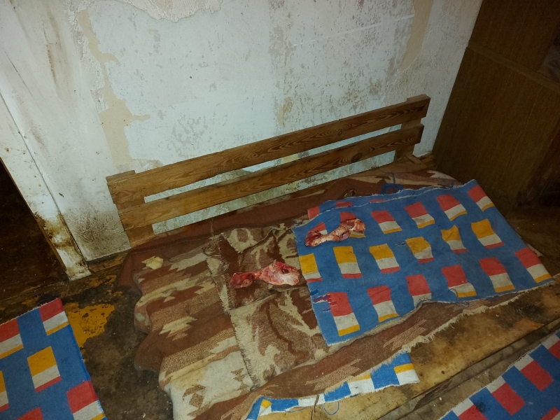 14/14 Skandaliczne warunki, w których żyły psy w hodowli