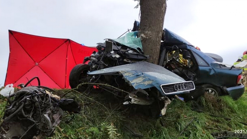 1/3 Śmiertelny wypadek na DK22 koło Kostrzyna nad Odrą