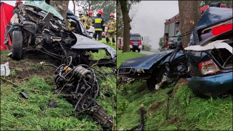 3/3 Śmiertelny wypadek na DK22 koło Kostrzyna nad Odrą