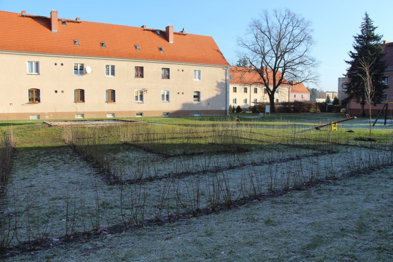 6/9 Żary będą bardziej zielone