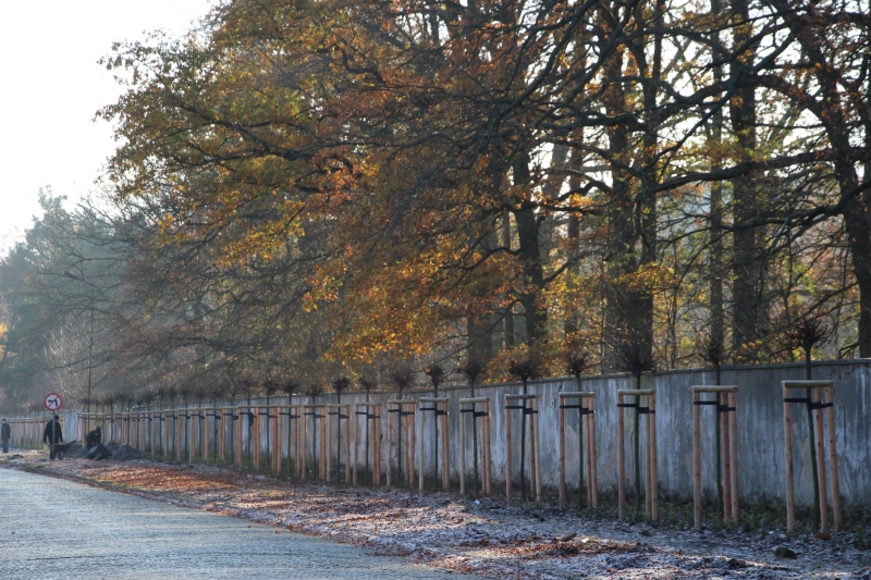 7/9 Żary będą bardziej zielone