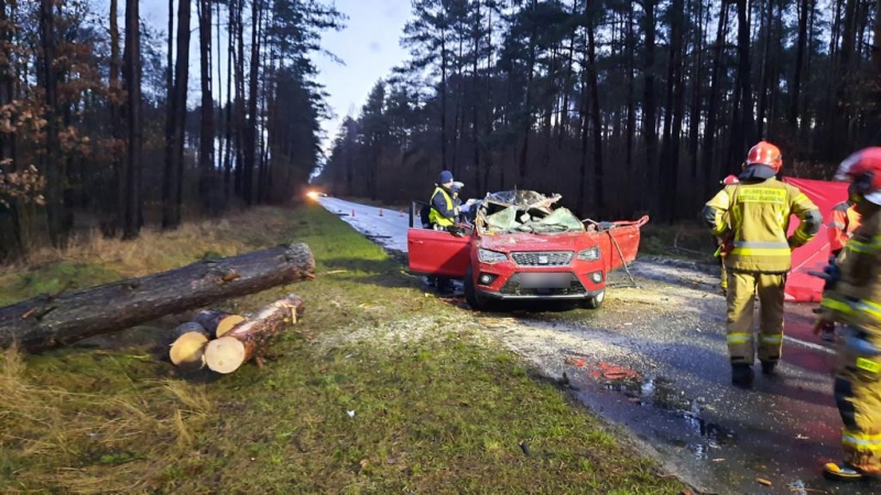 2/4 Na jadącego seata spadło drzewo. Kierowca zginął na miejscu