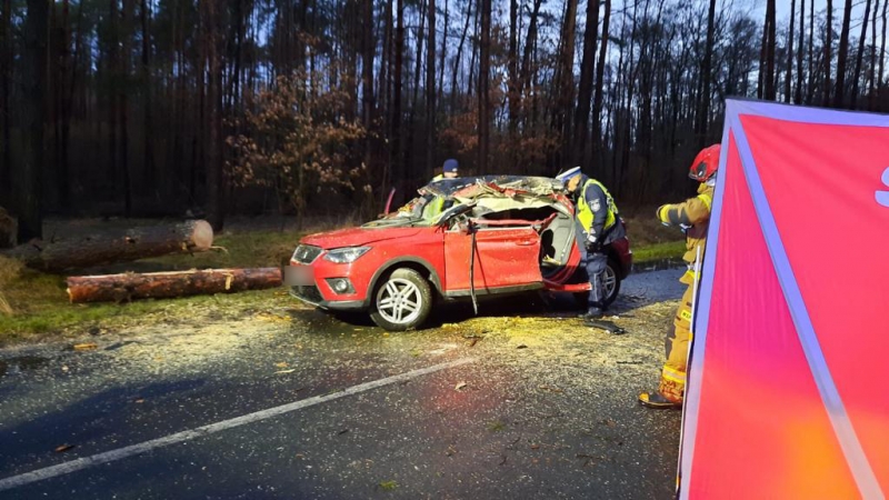 4/4 Na jadącego seata spadło drzewo. Kierowca zginął na miejscu