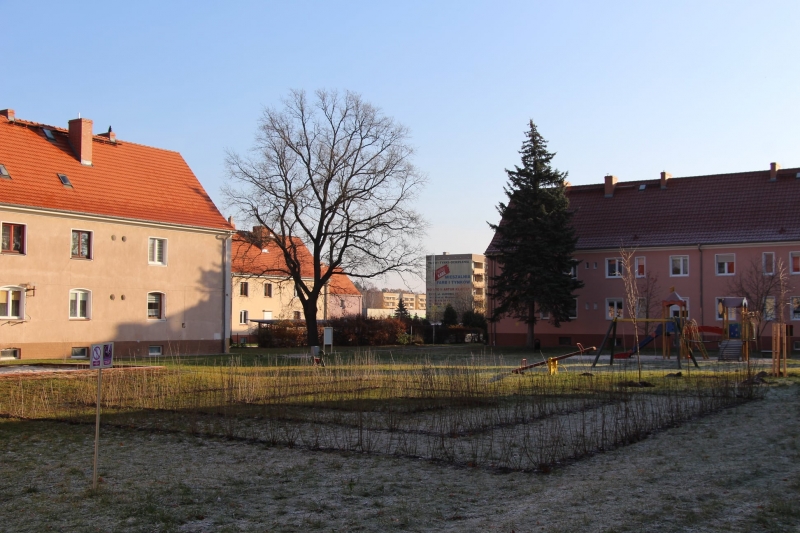 8/9 Żary będą bardziej zielone