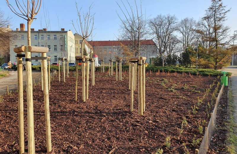 2/4 Plac Pionierów Ziemi Żarskiej