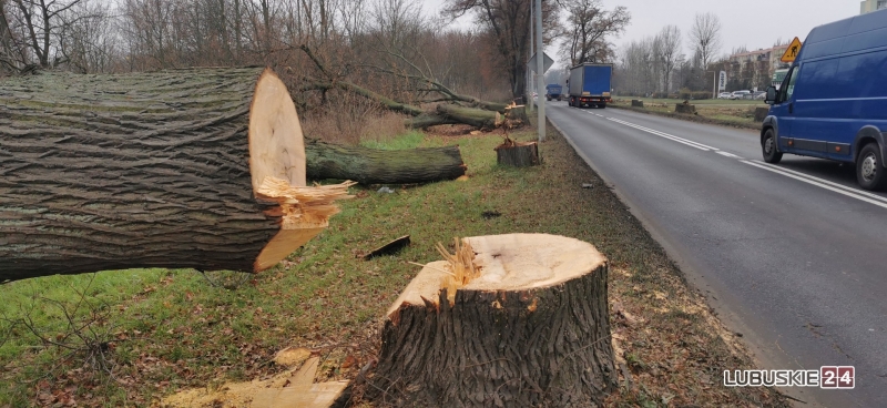 8/13 Rozbudowa ul. Walczaka w Gorzowie