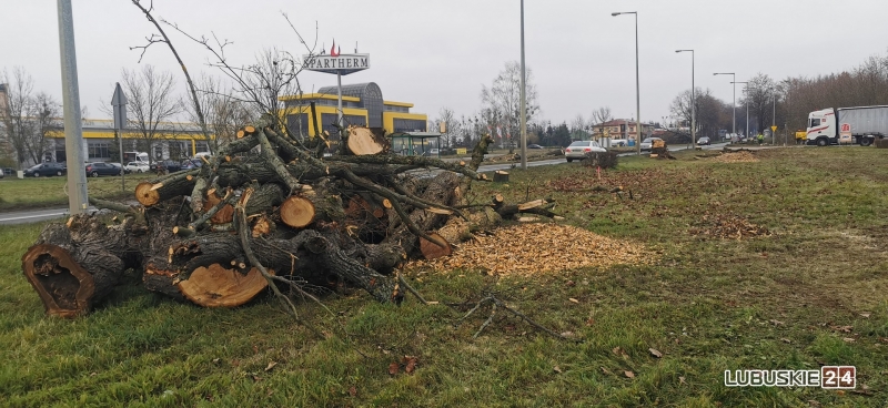 11/13 Rozbudowa ul. Walczaka w Gorzowie