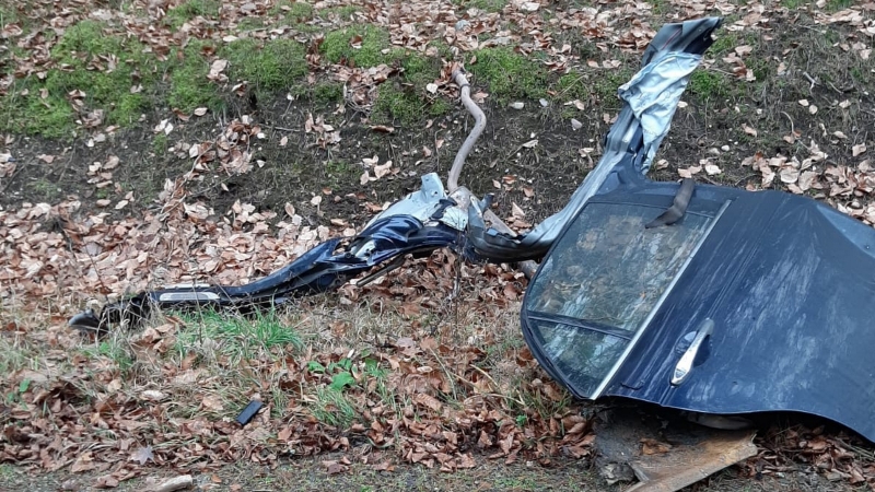 6/8 Jaguar roztrzaskał się o drzewo i stanął w płomieniach