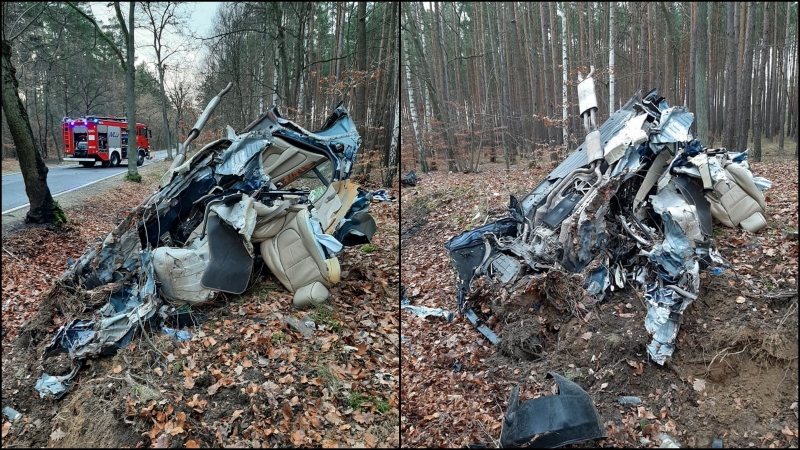 8/8 Jaguar roztrzaskał się o drzewo i stanął w płomieniach