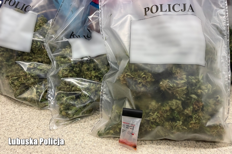 7/9 Miał narkotyki i broń. 69-latek zatrzymany przez policję