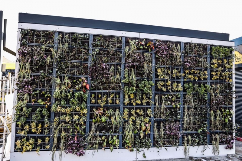 3/8 Zielone przystanki w Zielonej Górze już gotowe