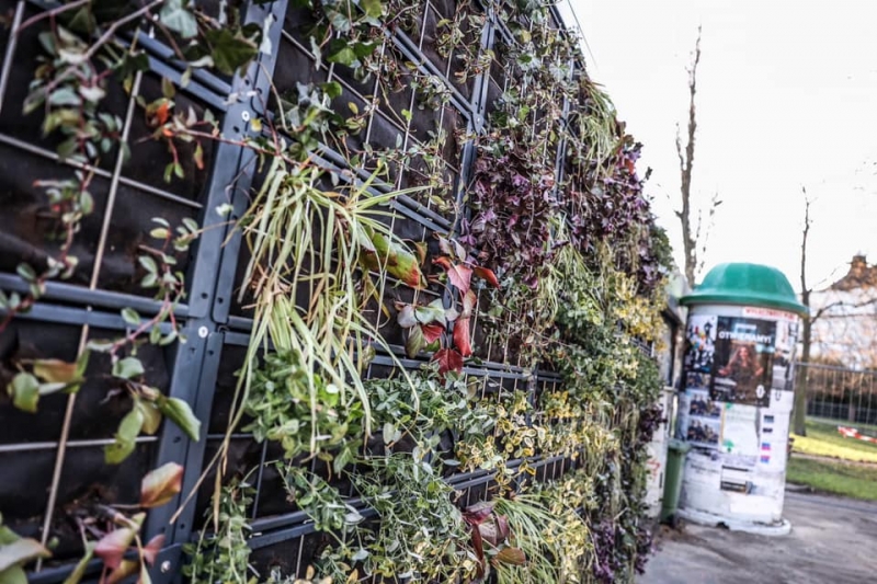 4/8 Zielone przystanki w Zielonej Górze już gotowe