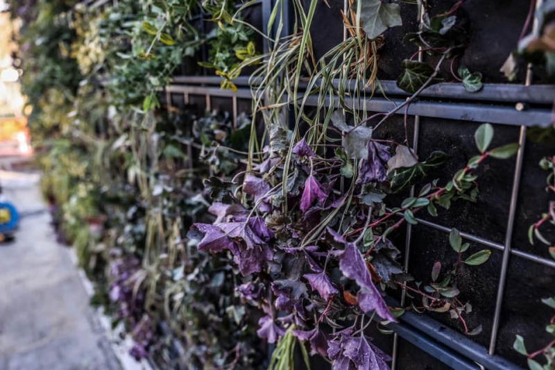 6/8 Zielone przystanki w Zielonej Górze już gotowe