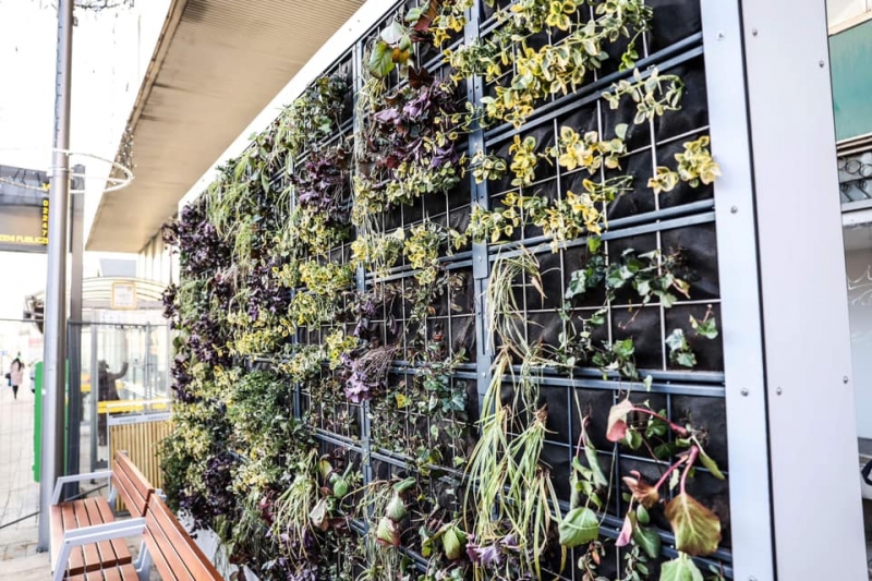 7/8 Zielone przystanki w Zielonej Górze już gotowe