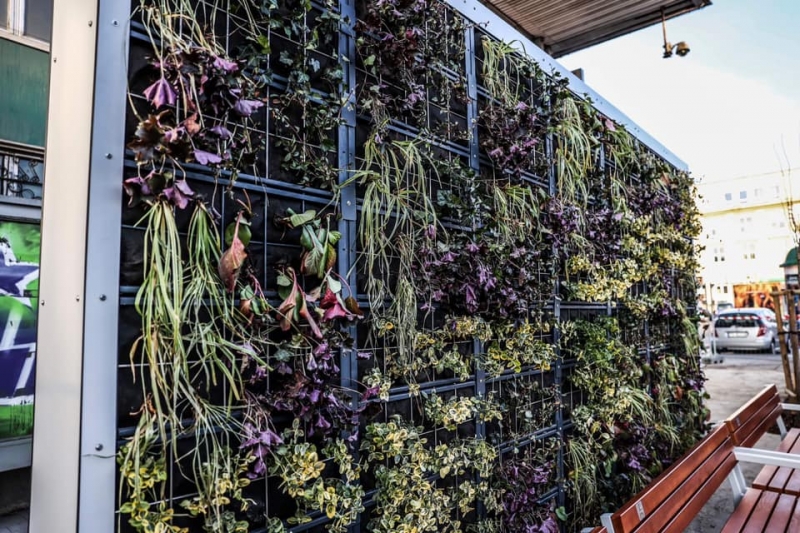 8/8 Zielone przystanki w Zielonej Górze już gotowe