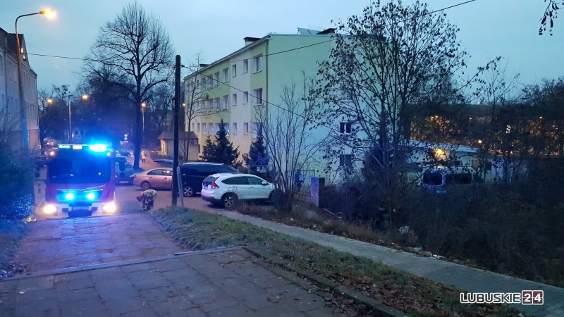 4/5 Zwłoki przy ul. Sienkiewicza w Gorzowie