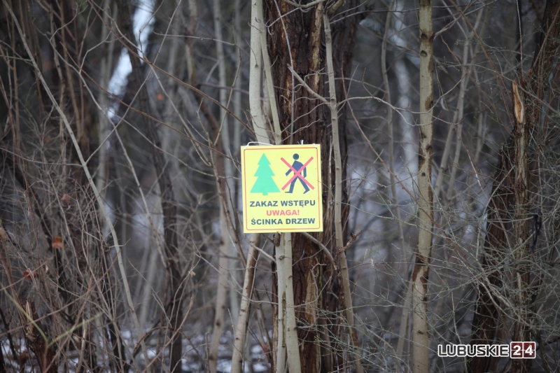 3/19 Pierwsze prace przy budowie hali widowiskowo-sportowej w Gorzowie