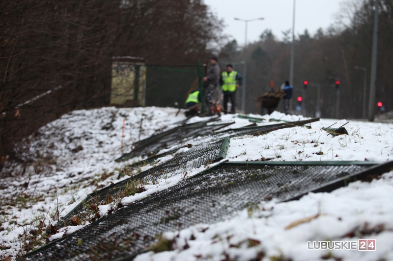 8/19 Pierwsze prace przy budowie hali widowiskowo-sportowej w Gorzowie