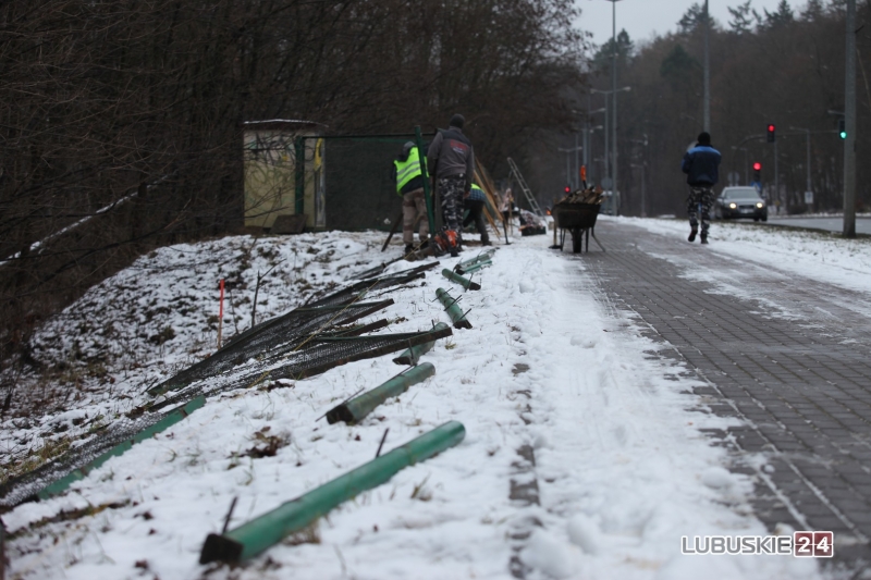 10/19 Pierwsze prace przy budowie hali widowiskowo-sportowej w Gorzowie