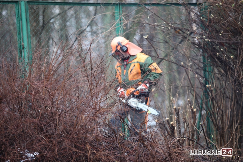 11/19 Pierwsze prace przy budowie hali widowiskowo-sportowej w Gorzowie