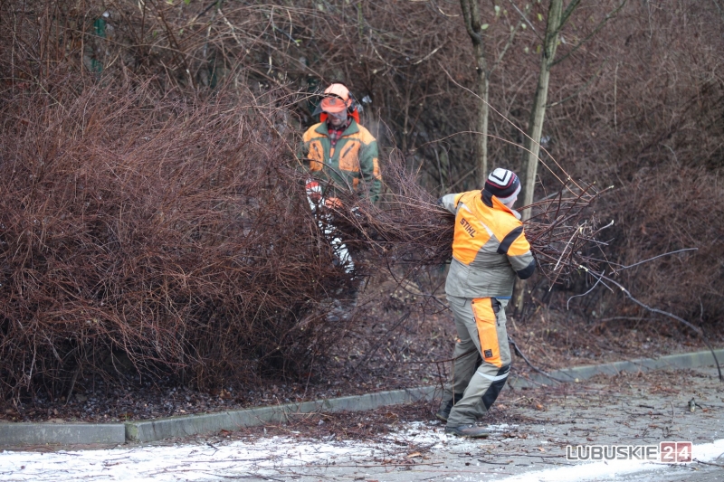 13/19 Pierwsze prace przy budowie hali widowiskowo-sportowej w Gorzowie