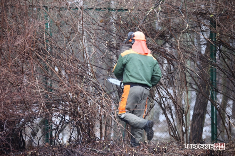 14/19 Pierwsze prace przy budowie hali widowiskowo-sportowej w Gorzowie