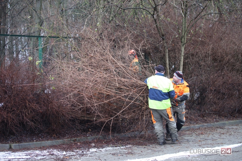 16/19 Pierwsze prace przy budowie hali widowiskowo-sportowej w Gorzowie