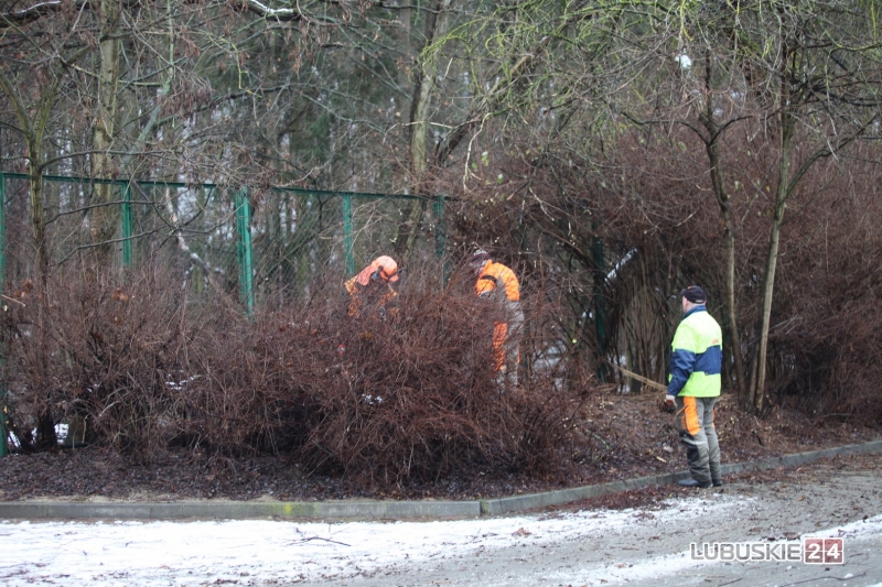 18/19 Pierwsze prace przy budowie hali widowiskowo-sportowej w Gorzowie