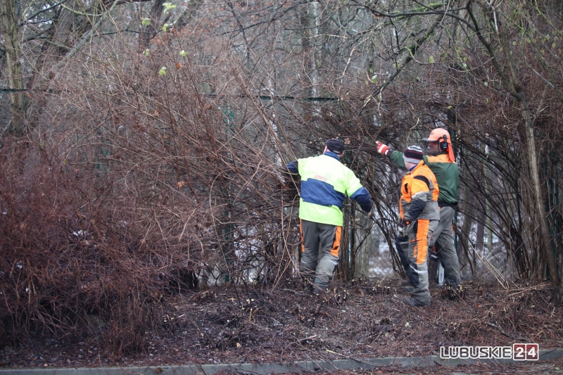 19/19 Pierwsze prace przy budowie hali widowiskowo-sportowej w Gorzowie