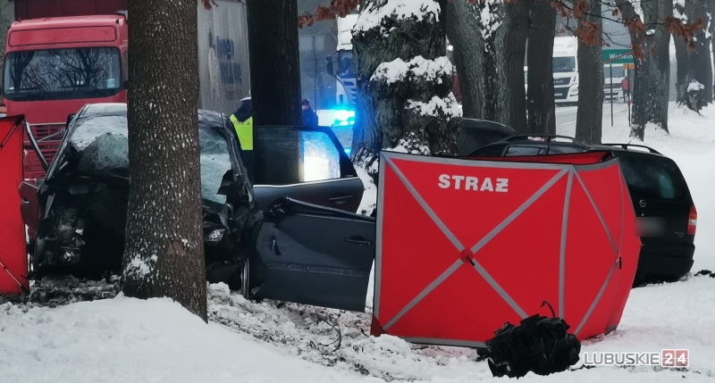 4/7 Śmiertelny wypadek w Wełminie na DK22