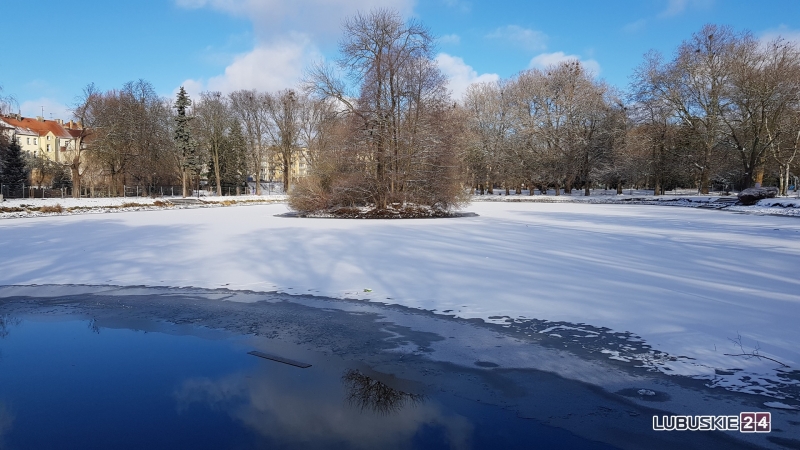 8/12 Rewitalizacja parku Wiosny Ludów w Gorzowie