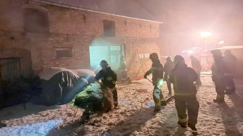 5/5 Pożar budynku, w którym były małe kangurki